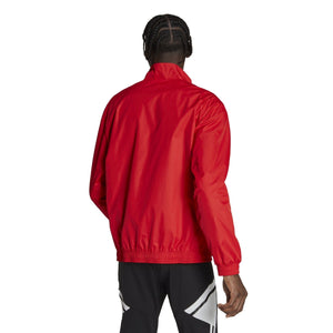 adidas BELGIEN ANTHEM JACKE Herren WM 2022 - sportiger.de