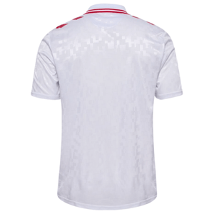 DBU DÄNEMARK Trikot Away Herren EURO 2024 - sportiger.de