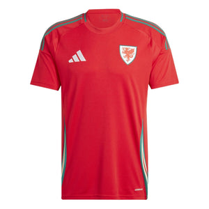 FAW WALES Trikot Home Kinder 24 / 25 - sportiger.de