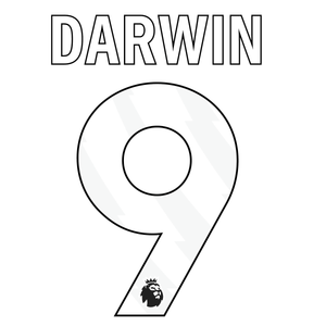 Original Premier League Trikot - Flock 25cm - DARWIN 9 - sportiger.de
