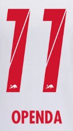 Original RB Leipzig Home Trikot - Flock - OPENDA 11 - sportiger.de