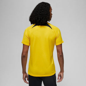 PSG PARIS SAINT - GERMAIN ACADEMY PRO Dri - FIT Shirt Herren 22 / 23 - sportiger.de