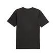 puma BVB BORUSSIA DORTMUND Pre - Match Shirt Herren 23 / 24 schwarz - sportiger.de