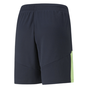 puma IndividualFINAL Trainings Short Herren lila - grün - sportiger.de