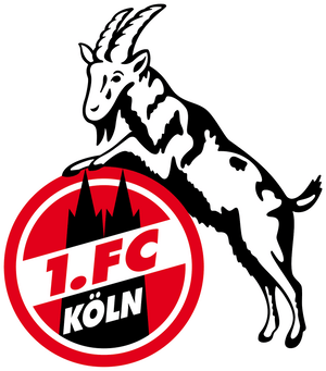 1. FC Köln Trikot