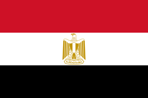 Ägypten Trikot