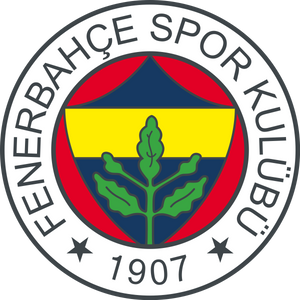 Fenerbahçe Istanbul Trikot