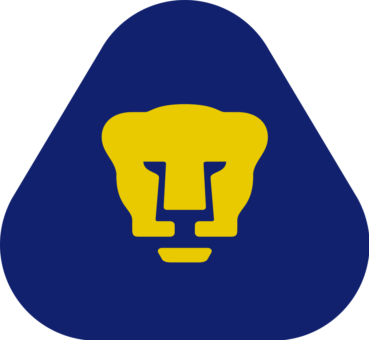 PUMAS UNAM Trikot