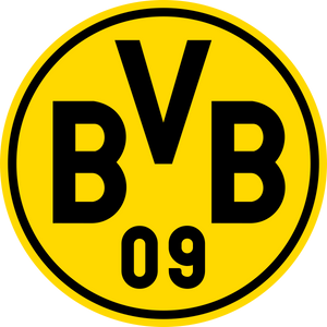 BVB Dortmund Trikot