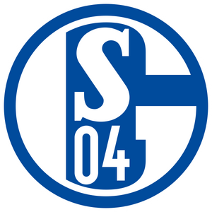 FC Schalke 04 - Spielerflocks