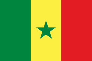 Senegal - Spielertrikots