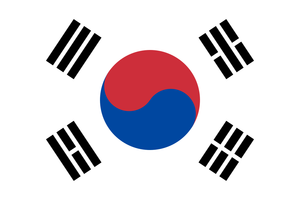 Süd Korea Trikot