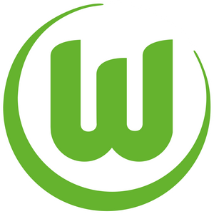 VfL Wolfsburg - Spielerflocks