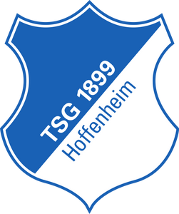 TSG Hoffenheim - Spielerflocks