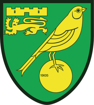 Norwich City Trikot