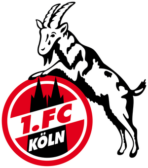 1. FC Köln Trikot