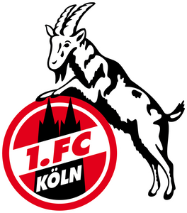 1. FC Köln Trikot