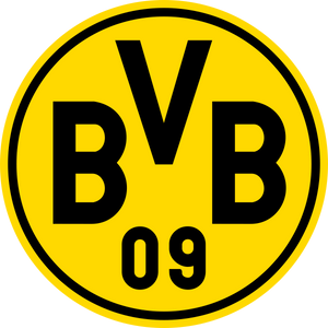 BVB Dortmund Trikot