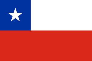 Chile Trikot