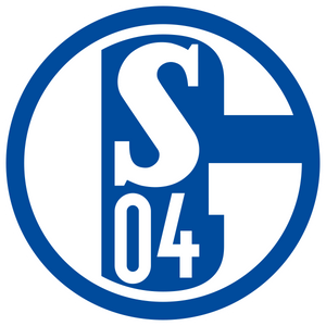 FC Schalke 04 - Spielerflocks