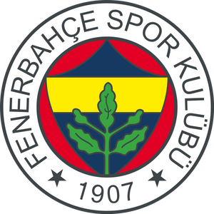 Fenerbahçe Istanbul Trikot