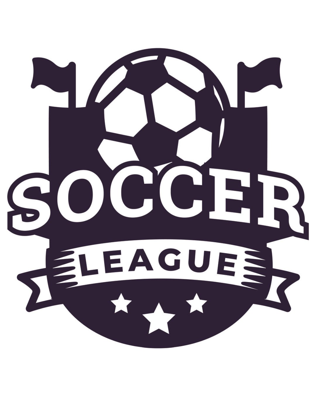 Fussball Spielbälle - Leagues - sportiger.de