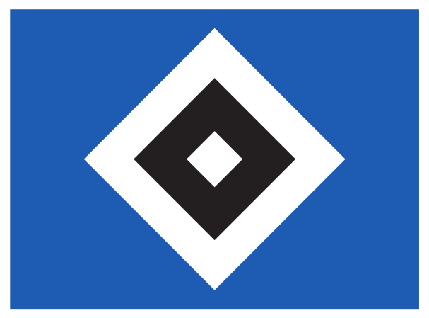 HSV Trikot - sportiger.de
