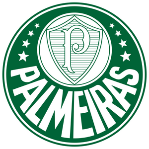 Palmeiras Sao Paulo Trikot