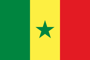 Senegal Trikot