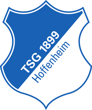 TSG Hoffenheim - Spielerflocks