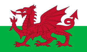 Wales Trikot