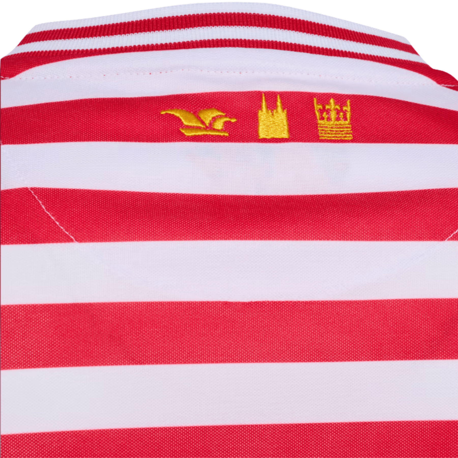 1. FC KÖLN Karnevaltrikot Herren langarm 25 / 26 - sportiger.de