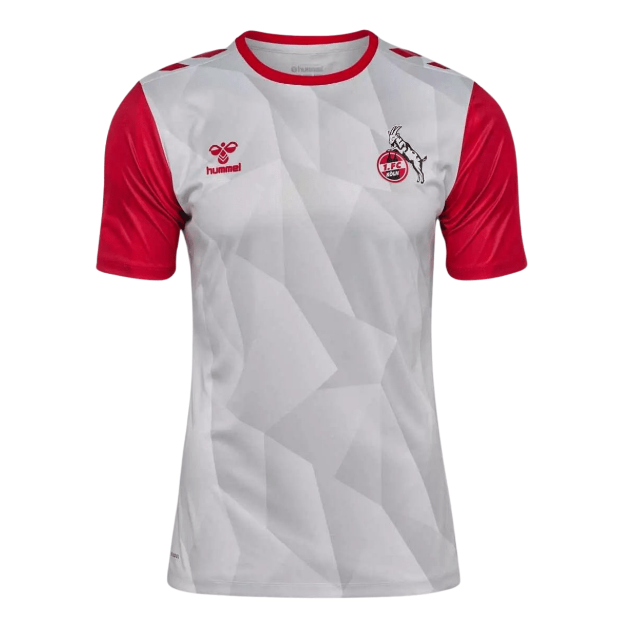 1. FC KÖLN Pre - Game Shirt Herren 24 / 25 - sportiger.de