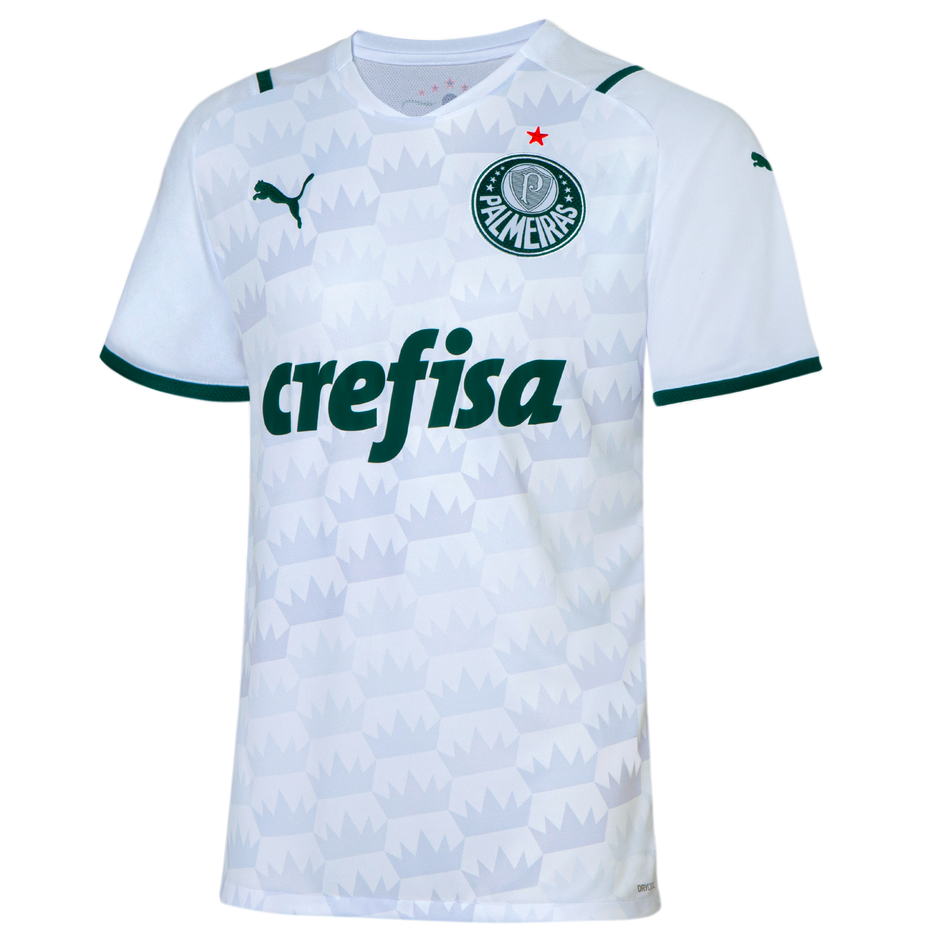 puma PALMEIRAS SAO PAULO Trikot Away Herren 20 / 21