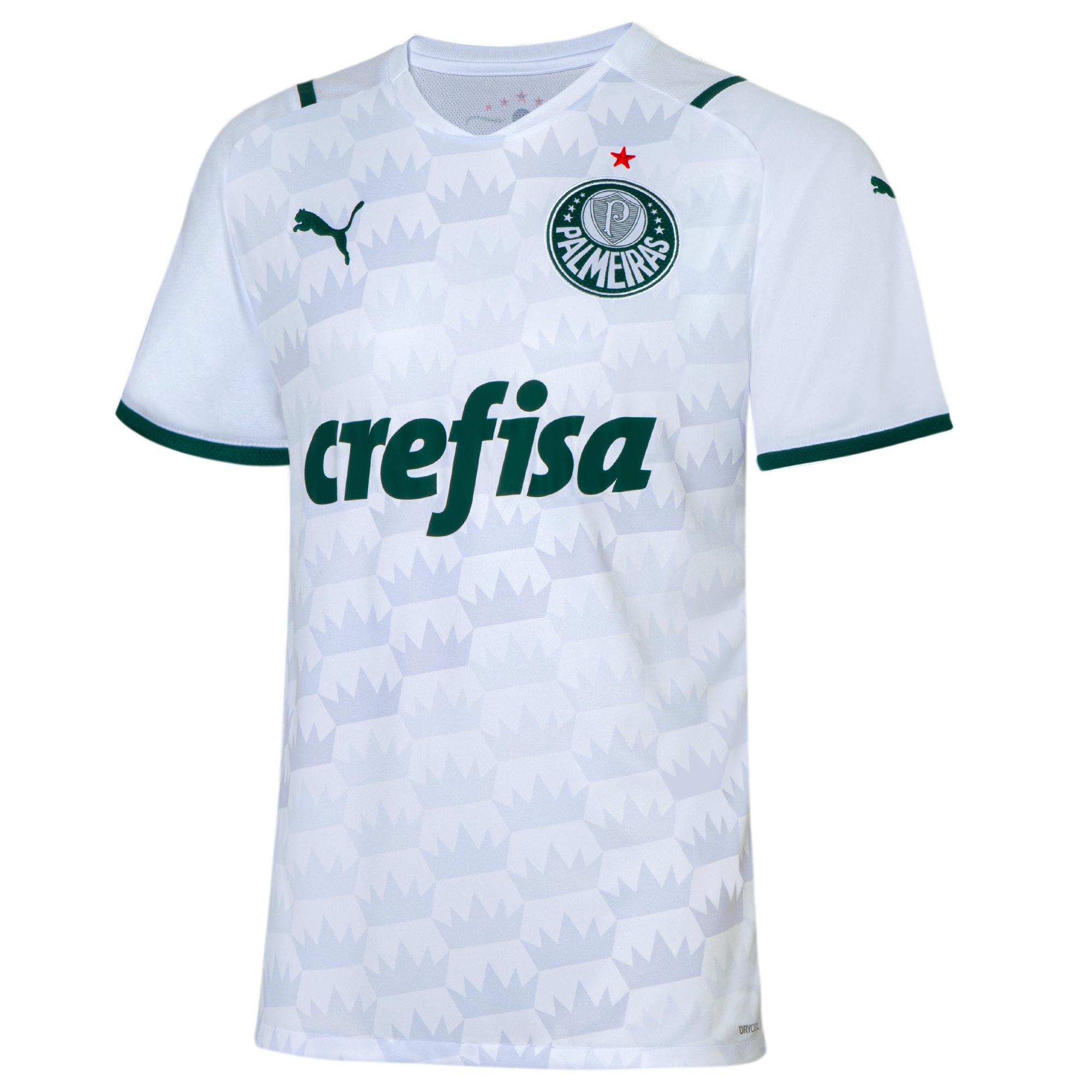 puma PALMEIRAS SAO PAULO Trikot Away Herren 20 / 21