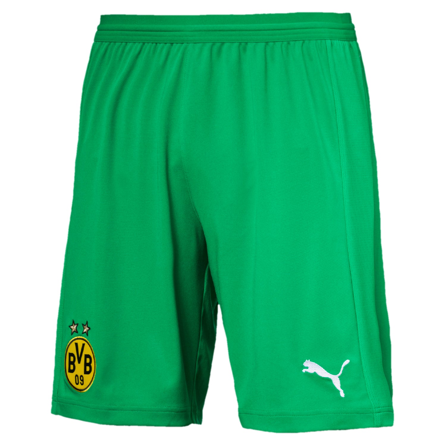 puma BVB BORUSSIA DORTMUND Hose Torwart Herren grün 2018 / 2019