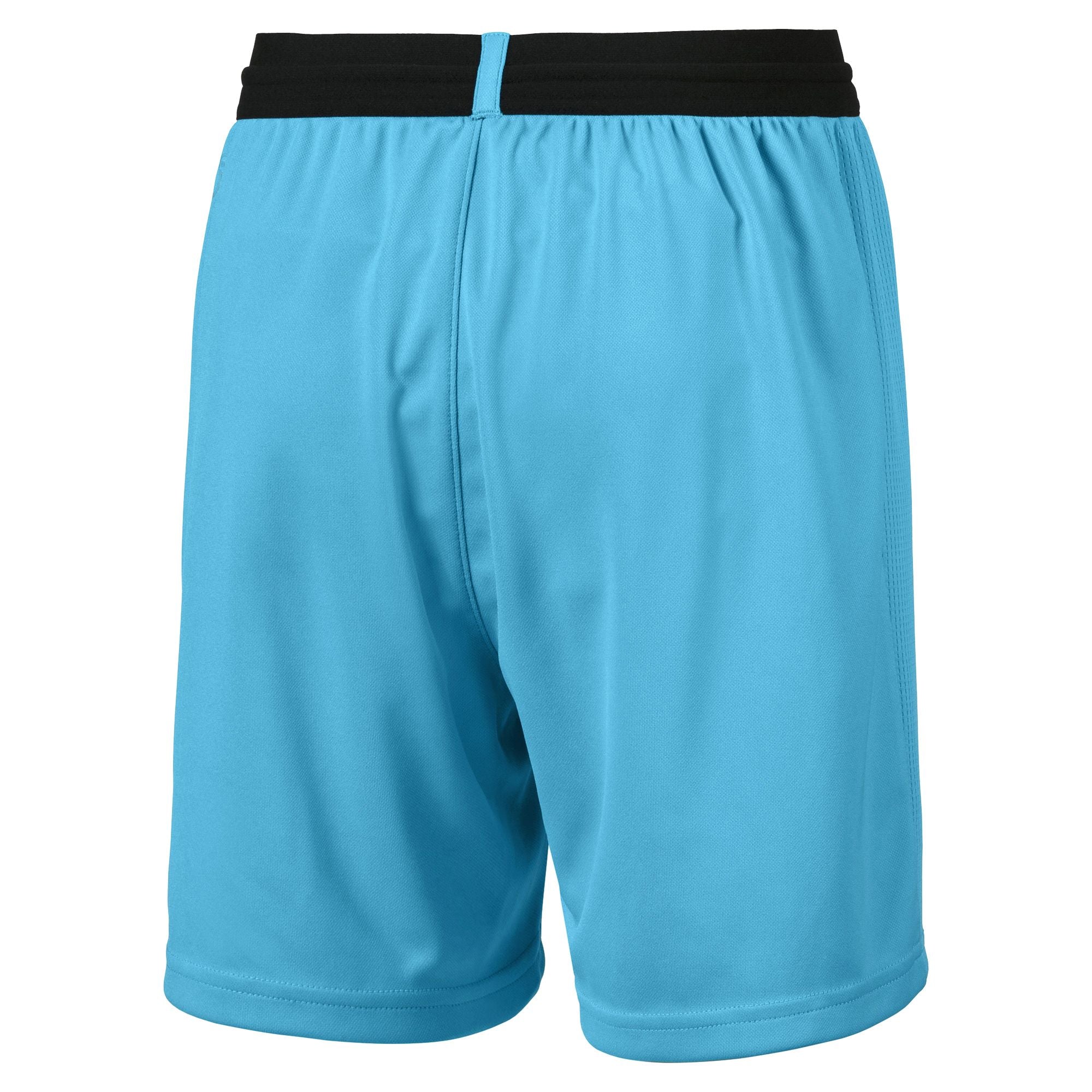 puma BORUSSIA MÖNCHENGLADBACH Hose TW Herren 18 / 19 blau