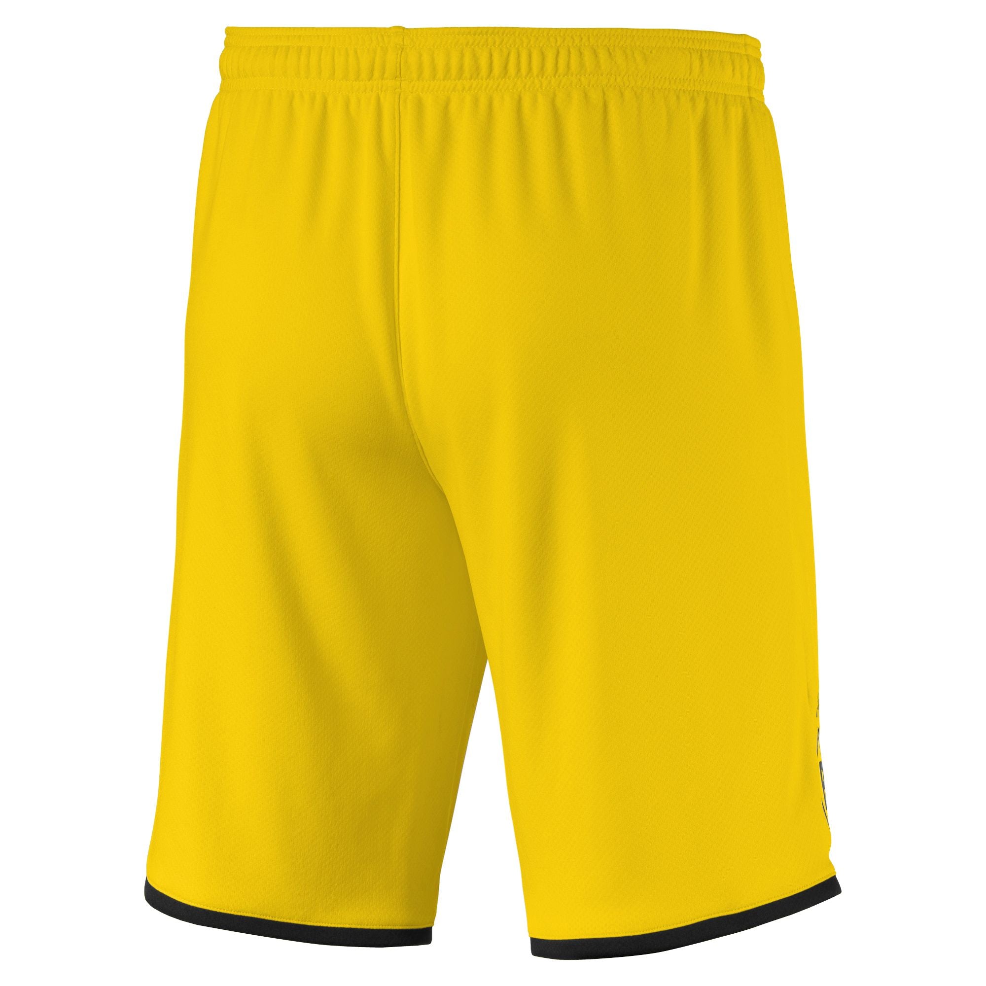 puma BVB BORUSSIA DORTMUND Hose Herren gelb 2019 / 20