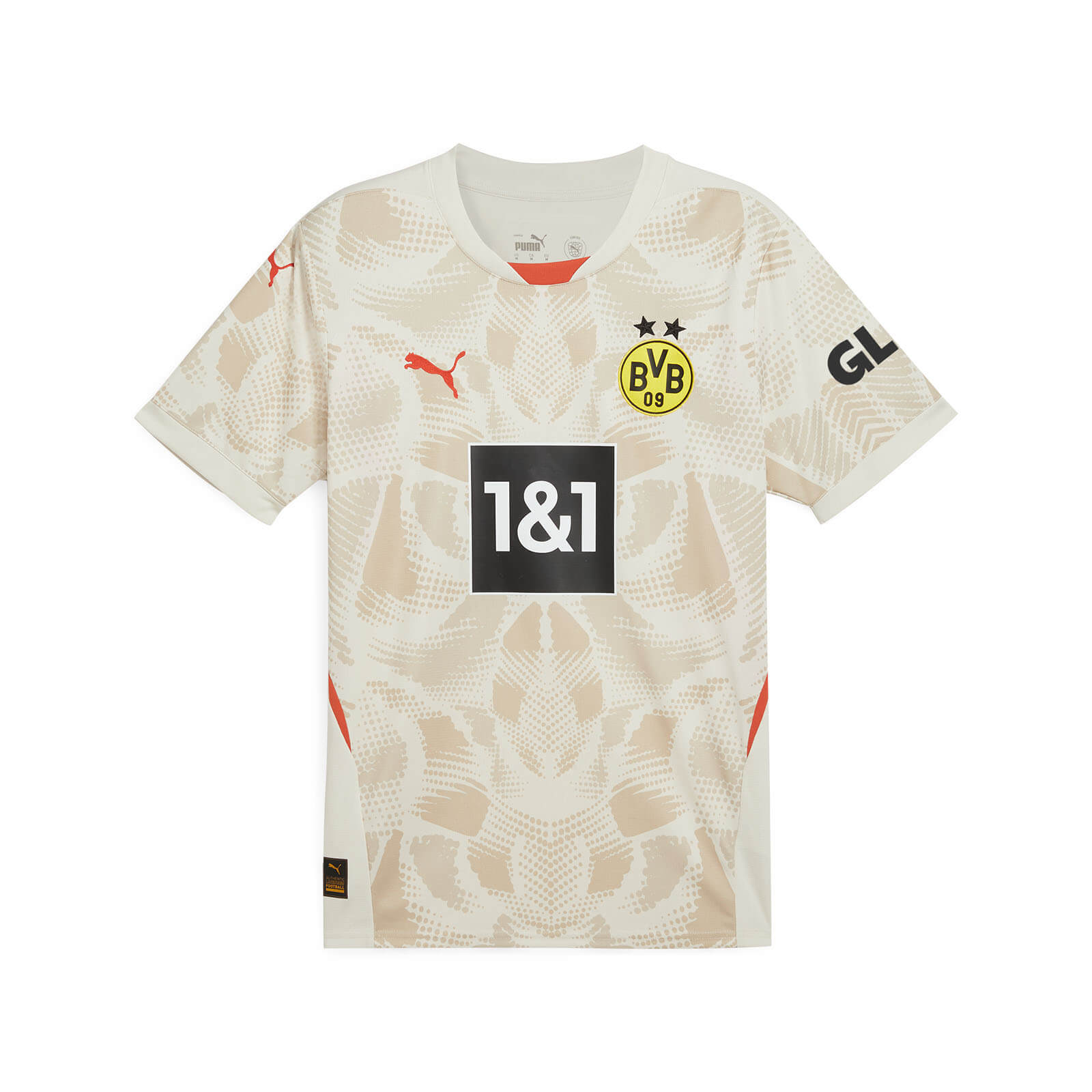 BVB BORUSSIA DORTMUND Trikot Torwart Herren beige 24 / 25