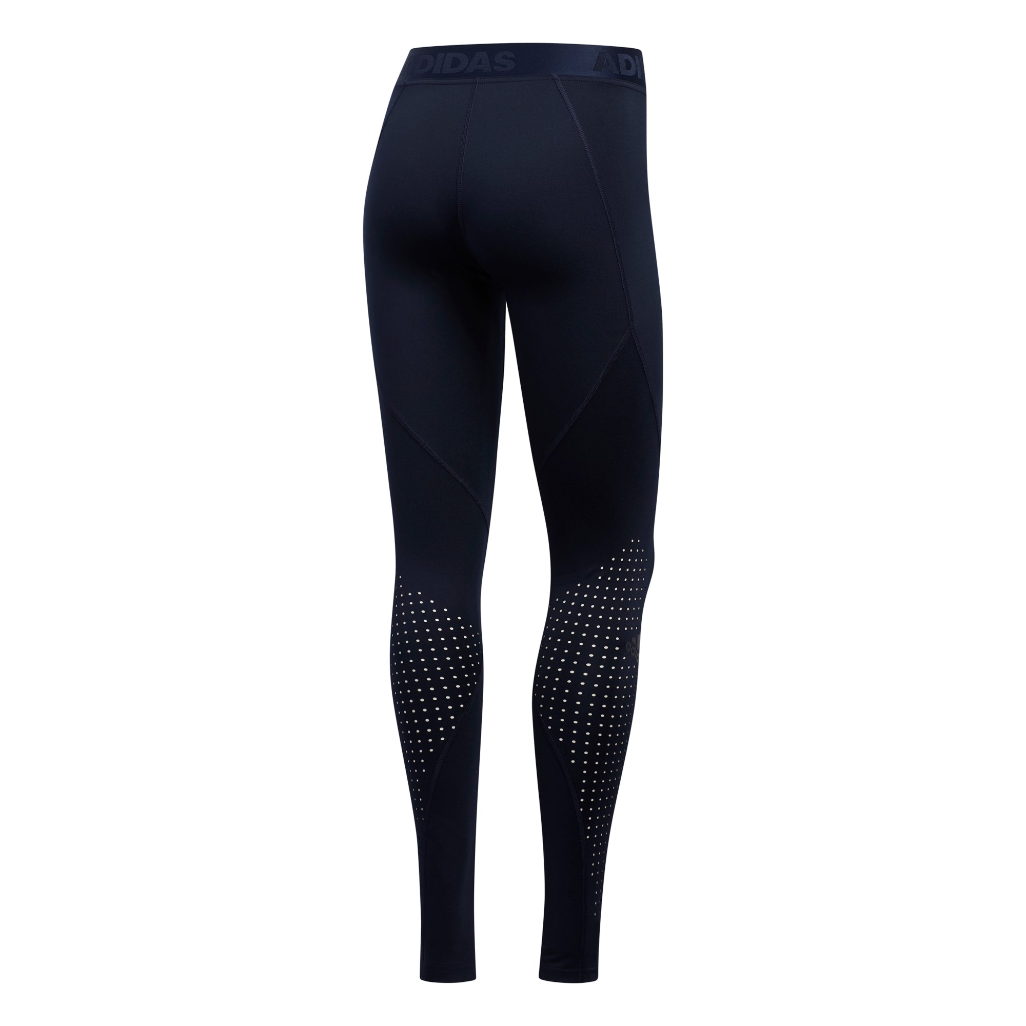 ALPHASKIN PERFORMANCE LONG TIGHT - Laufhose Frauen schwarz