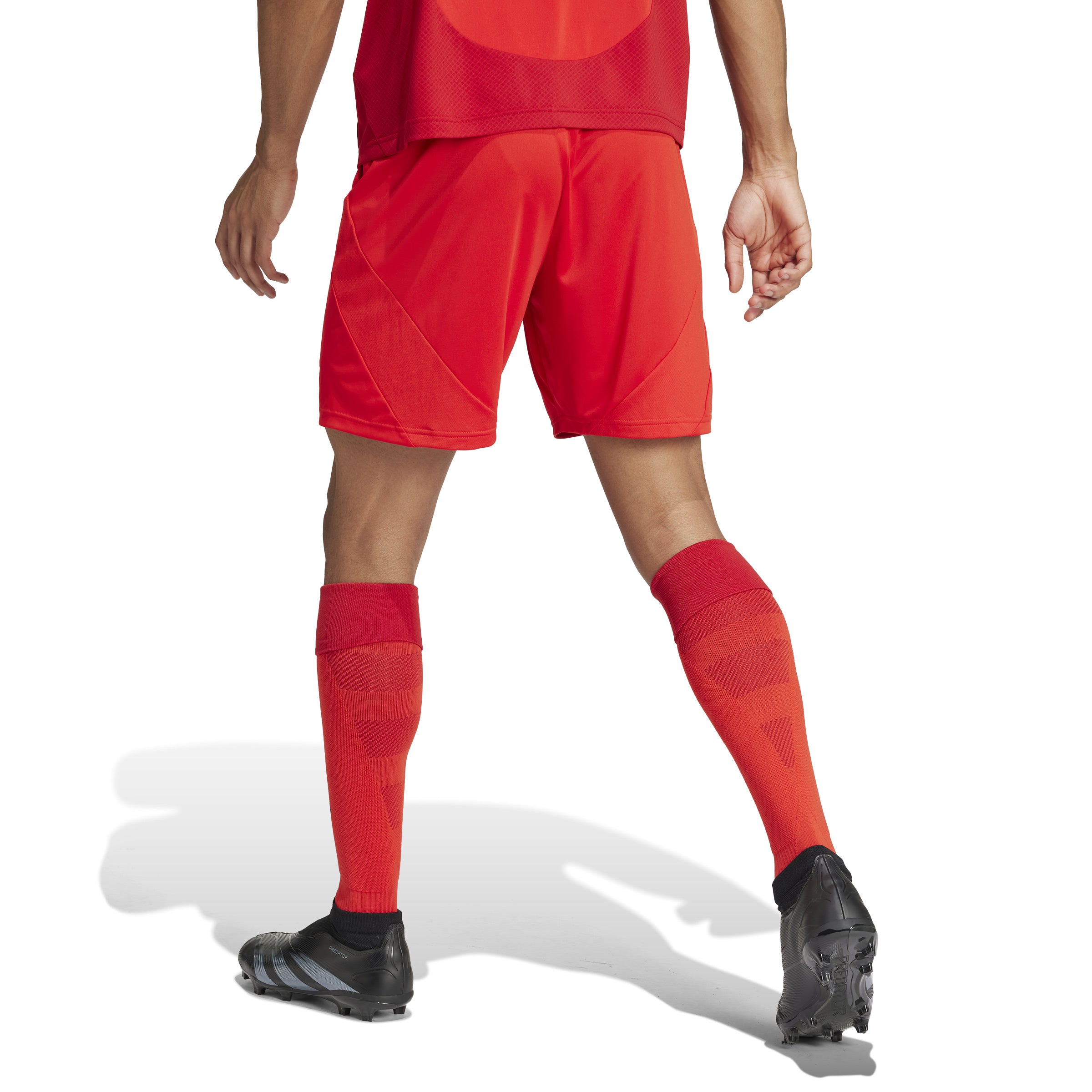 FC BAYERN MÜNCHEN Hose Home Herren 24 / 25