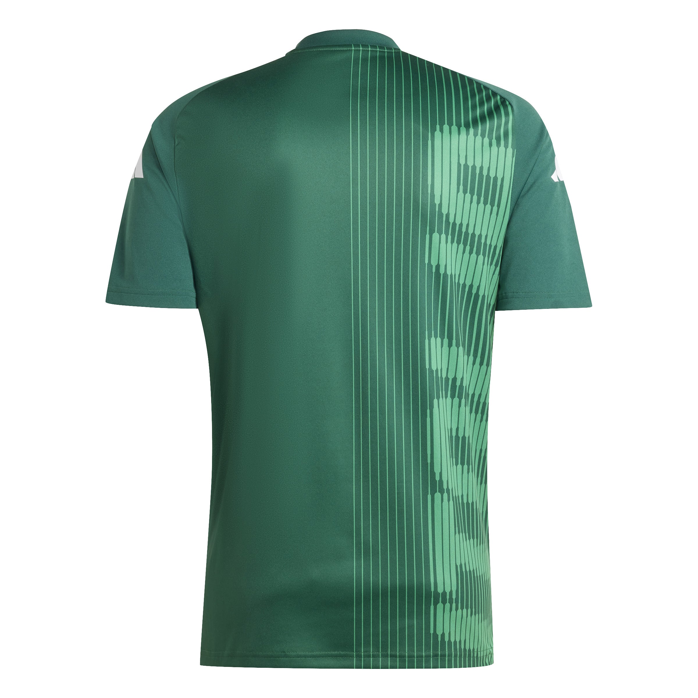 FIGC ITALIEN Pre-Match Shirt EURO 2024