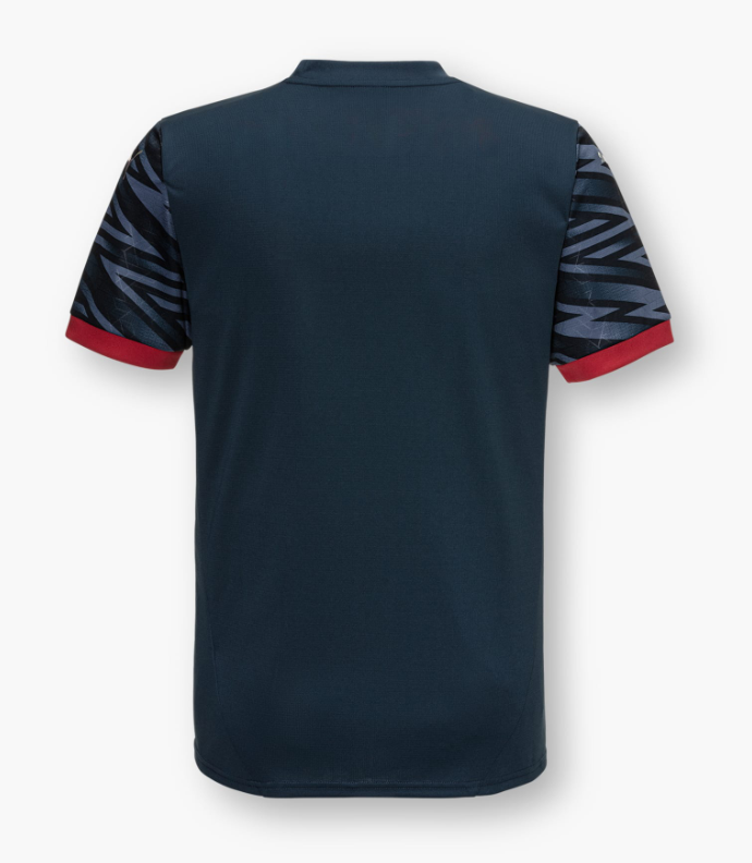 RB LEIPZIG ESPORTS Trikot Herren blau 24 / 25