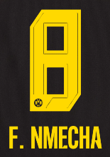 Original BVB Borussia Dortmund Trikot-Flock - F. NMECHA 8