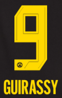 Original BVB Borussia Dortmund Trikot-Flock - GUIRASSY 9