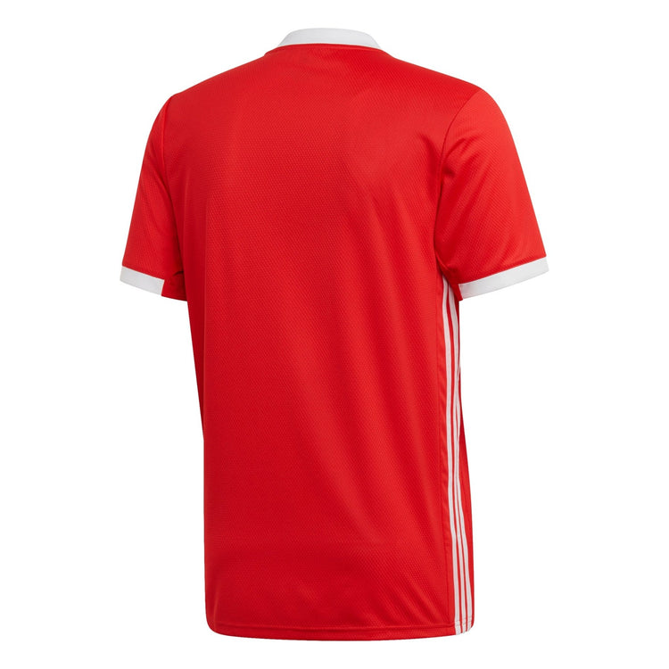 adidas BENFICA LISSABON Trikot Home Herren 2019 / 20 - sportiger.de