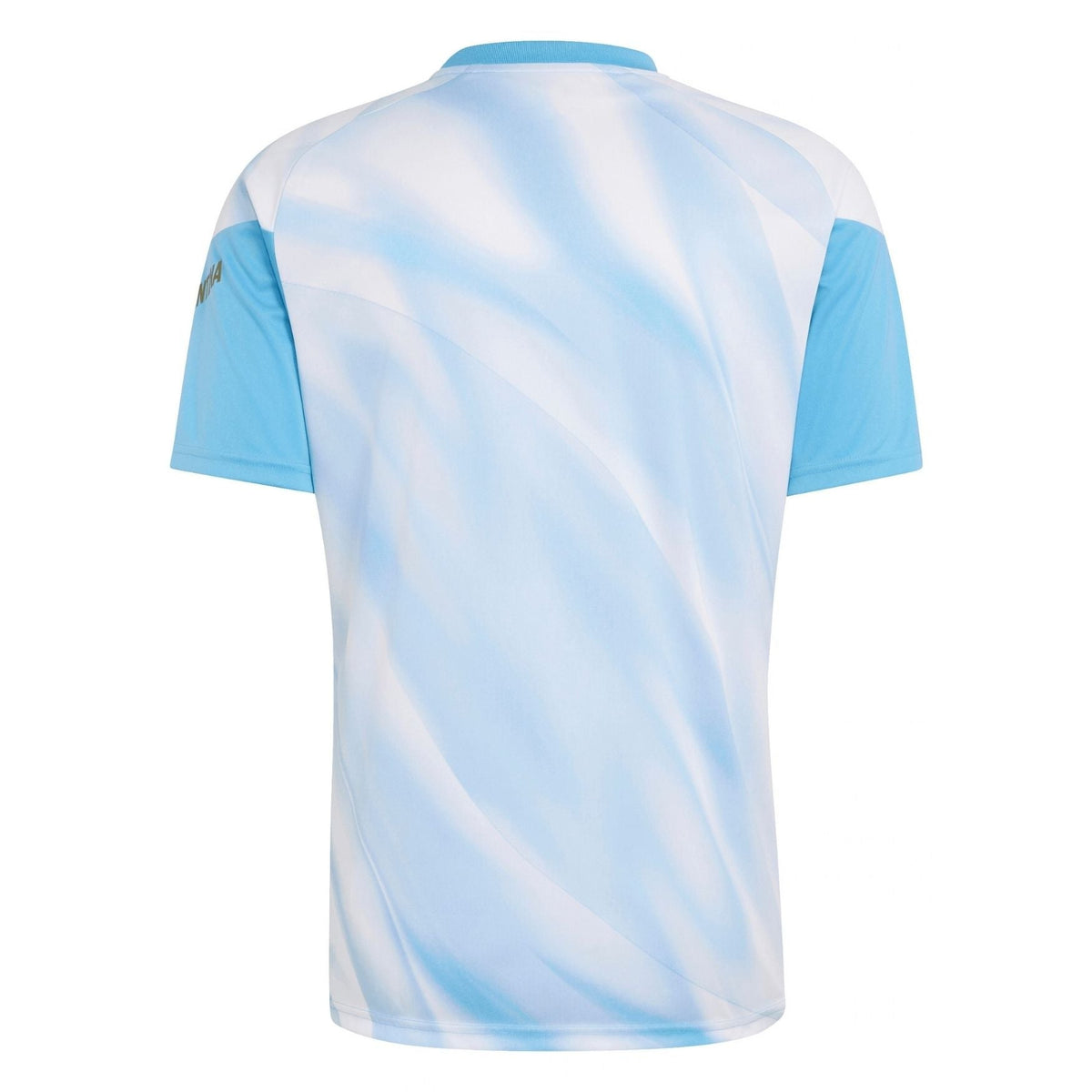 AFA x MESSI ARGENTINA Pre-Match Shirt Men 26 / 27 - sportiger.de