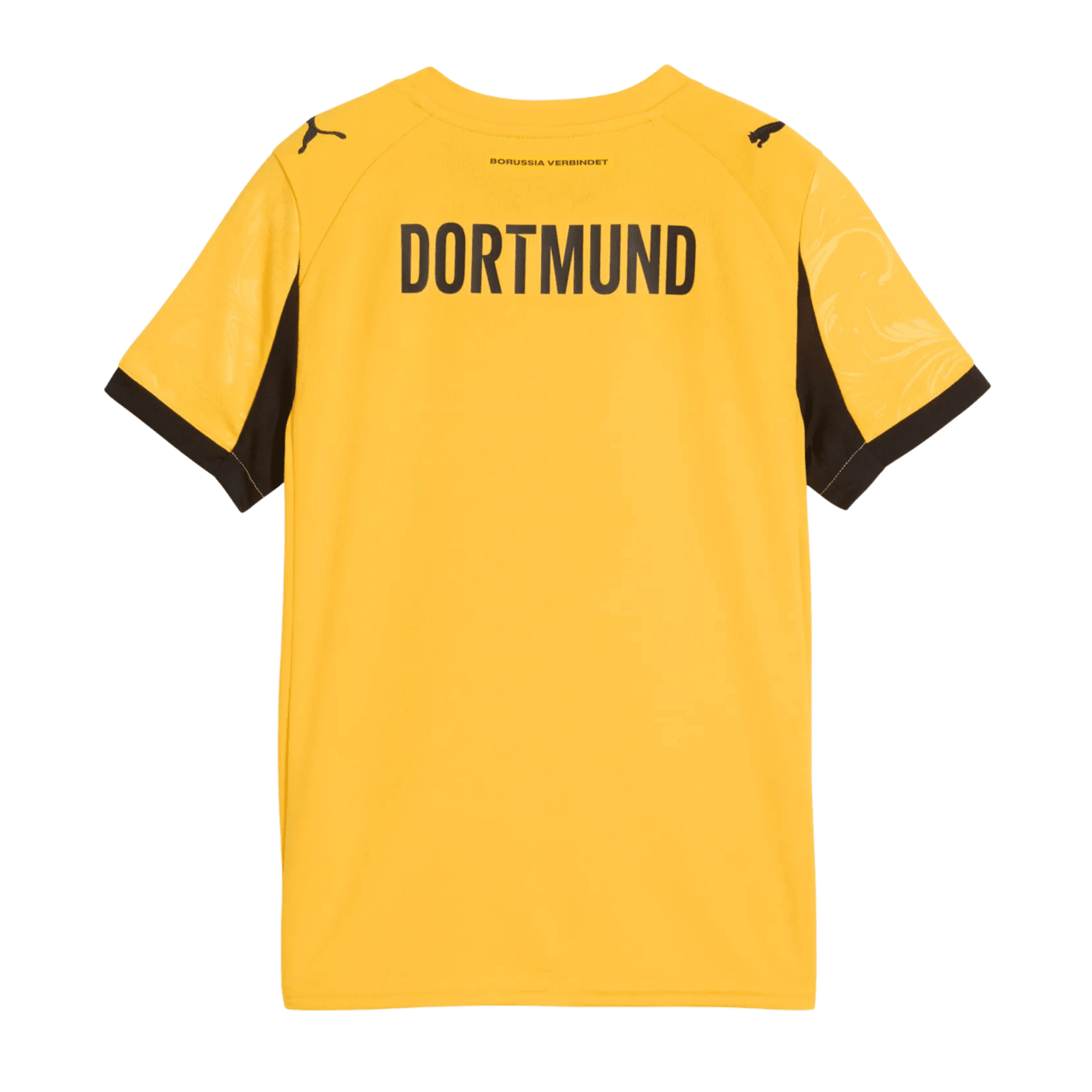 BVB BORUSSIA DORTMUND AUTHENTIC Trikot Cup Herren 25 / 26 - sportiger.de