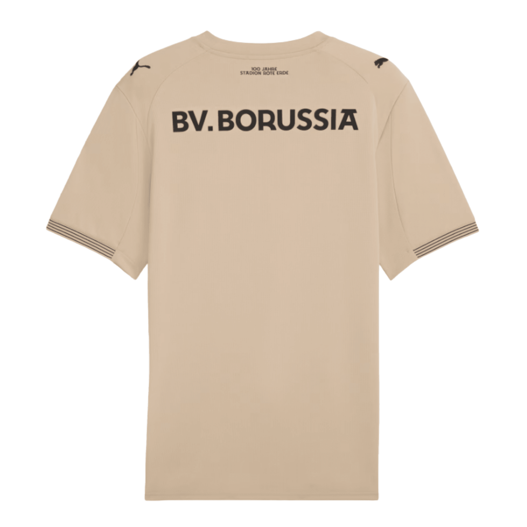 BVB BORUSSIA DORTMUND Sondertrikot Torwart Herren 25 / 26 - sportiger.de