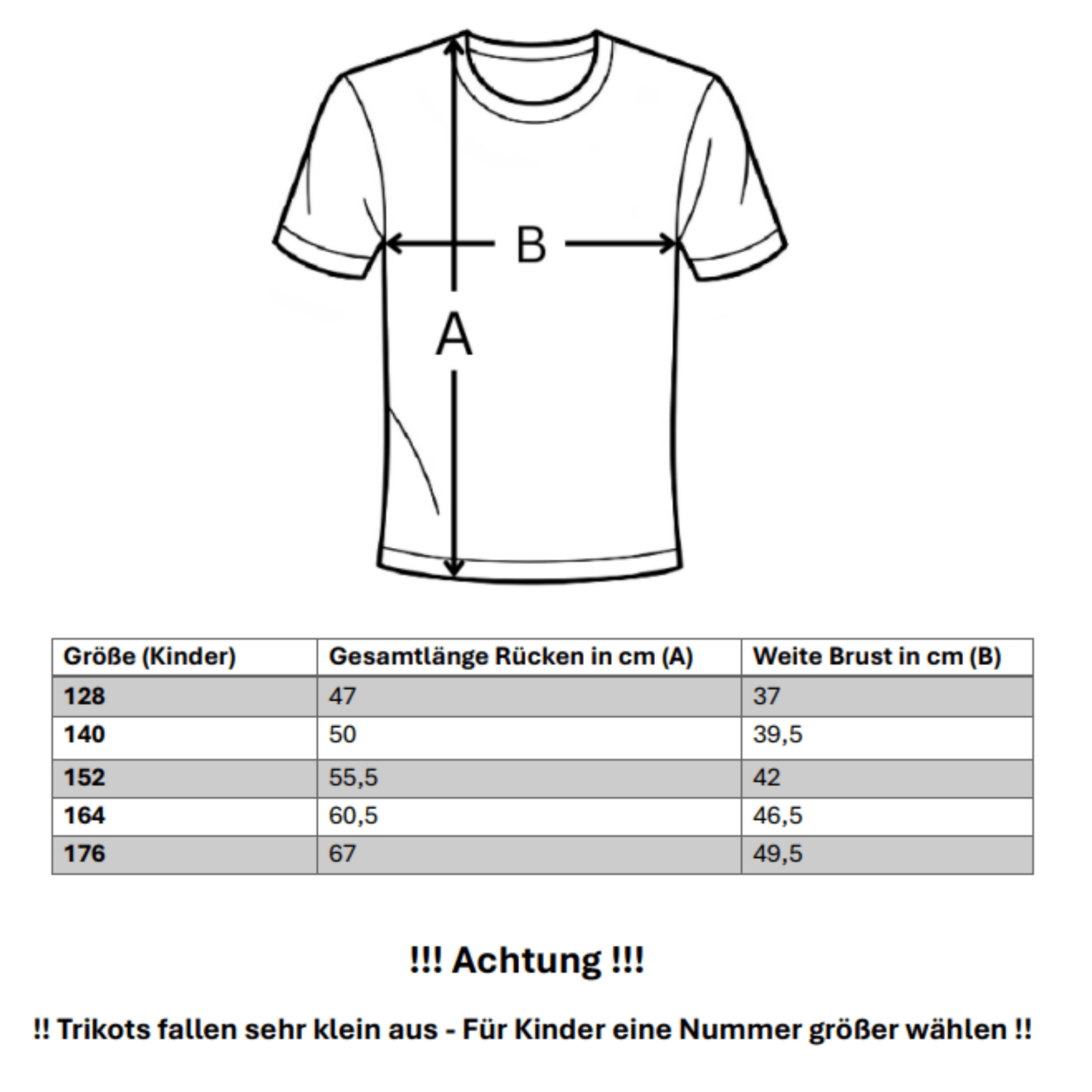 BVB BORUSSIA DORTMUND Trikot Home Kinder 25 / 26 - ADEYEMI 27 - sportiger.de